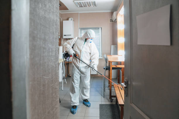 Best Commercial Mold Inspection  in Berkeley, IL